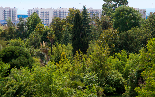 U Olimpiyskogo Parka Apartments