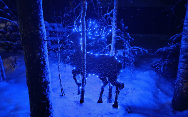 Гостевой дом на опушке леса