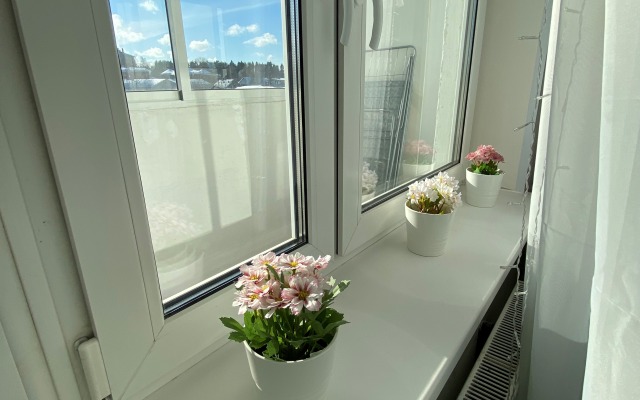Welcome Karelia Michurinskaya 48 Apartments