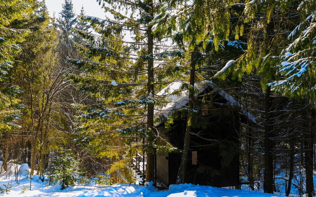 Opushka Dom Sredi Derevyev Glamping