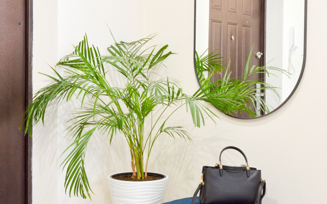 Апартаменты В Гости