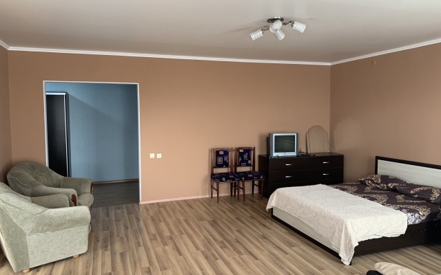 Квартира Большая рядом с парком