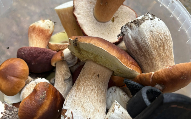 Шале у Озера