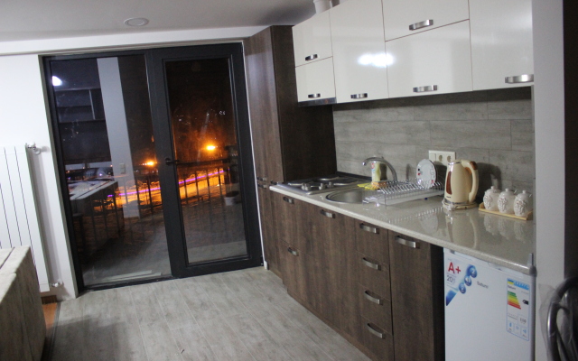 Area N39 Bakuriani Apart-Hotel