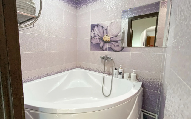 Апартаменты в центре Засвияжья 85