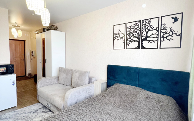 Апартаменты Студия На Лядова