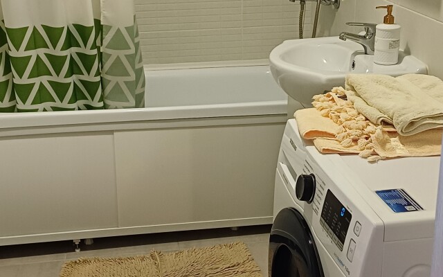 Yevrodvushka na poslednem etazhe Flat