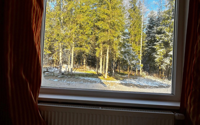 Частный Дом с баней в хвойном лесу на 20 сотках