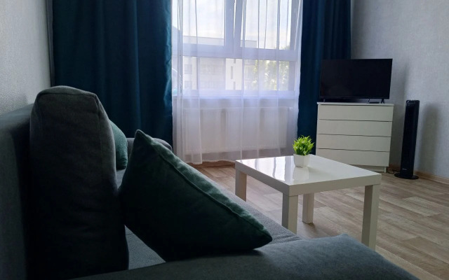 Uyutnaya kvartira v rayone aeroporta Apartments