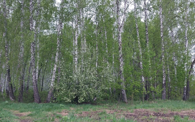 Апартаменты на Краснопольском Проспекте 3Д