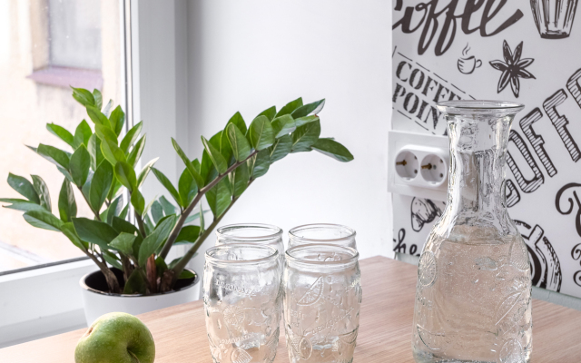 Апартаменты Гривцова 3