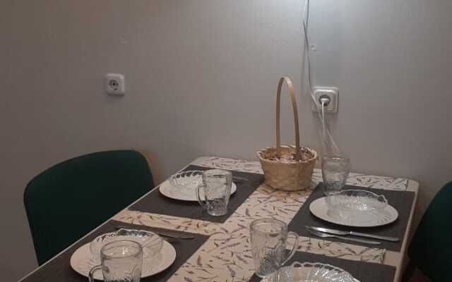 V Tsentre Apartments