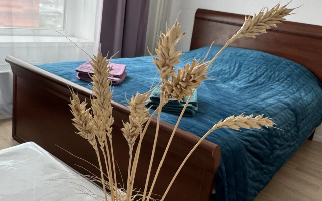 Uyutnaya studiya Flat