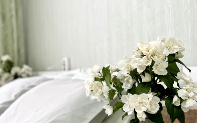 Апартаменты "Друзья" у Верхнего Озера