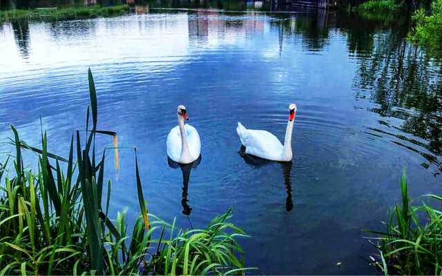 Квартира  MiHome Фантастические Закаты