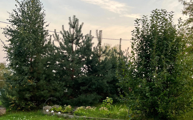 Гостевой дом Дом на озере Ильмень