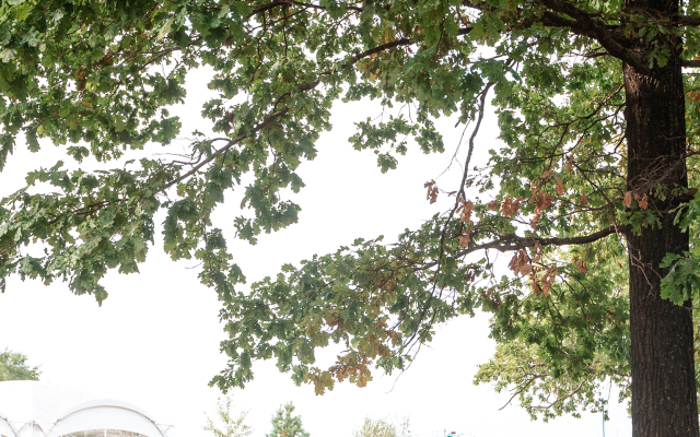 Отель Загородный Волга