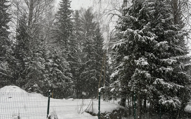 Частный дом SkandyVillage