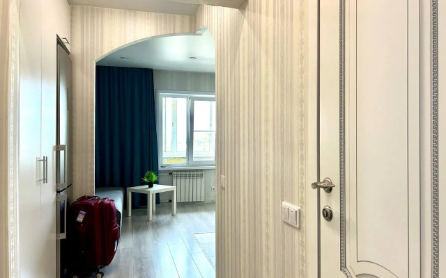 Квартира sober vibe Studiо