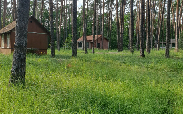 Recreation camp Zeleny Lug