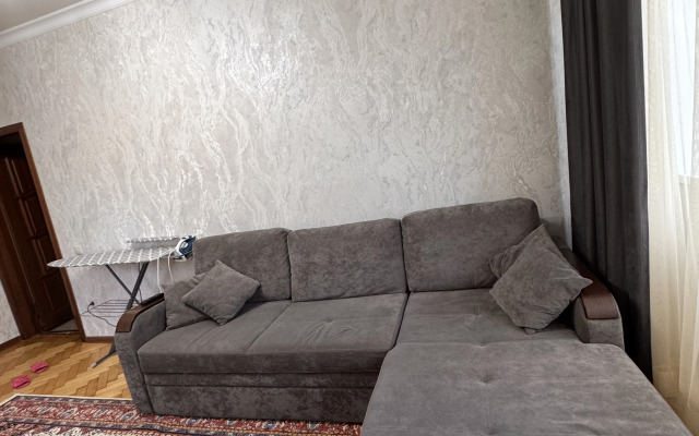 Dvuhkomnatnaya V Tsentre Goroda Flat