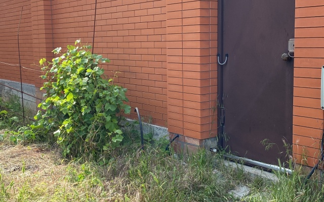 Dlya Otdykha Private House