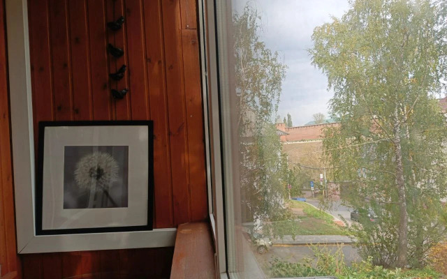 Квартира в самом центре Нижнего Новгорода