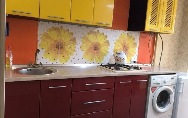 Na Ulitse Mechnikova 159 Flat