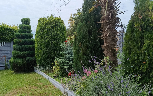 Ameli Guest House