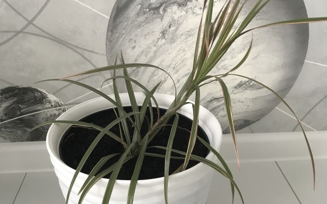 Апартаменты 1001 ночь на Разина