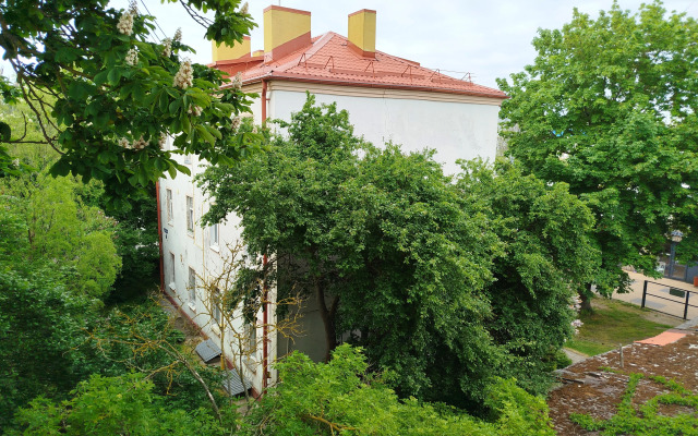 V tsentre Zelenogradska v 5 minutakh ot morya Apartments