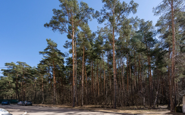 Апартаменты Тайна Голубого Океана в Нахабино - Mari'Nochka