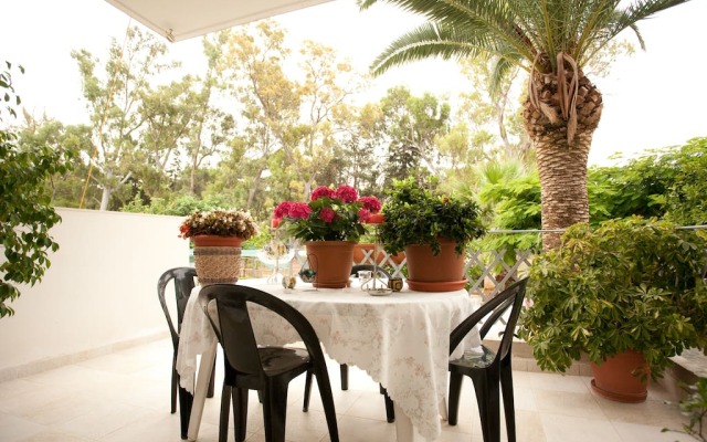 Veggie Garden Athens Guest house