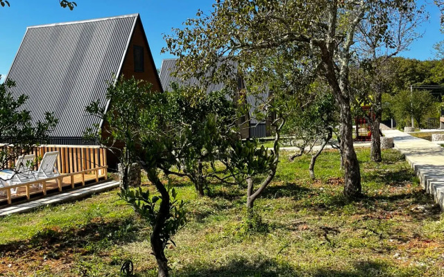 Ayfreymy Pitsunda Guest House