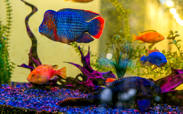 Санаторий Радуга