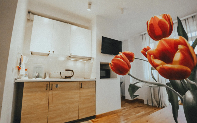 Апартаменты с Видом на Горы 2