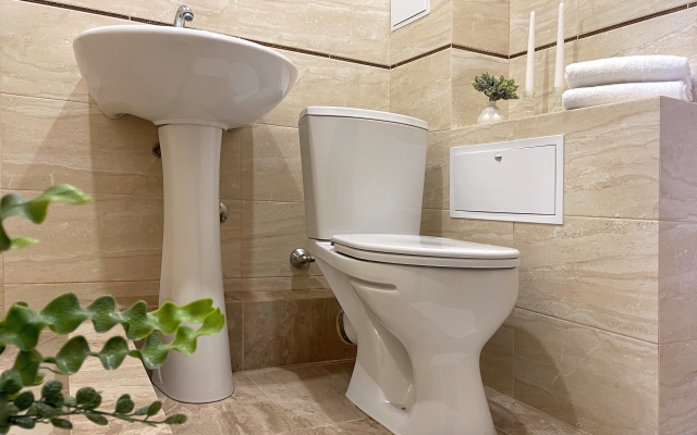 Двухкомнатные Апартаменты Люкс на 5 человек в курортной зоне Ессентуков