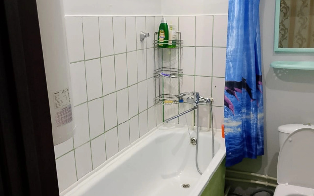 Квартира Домашняя