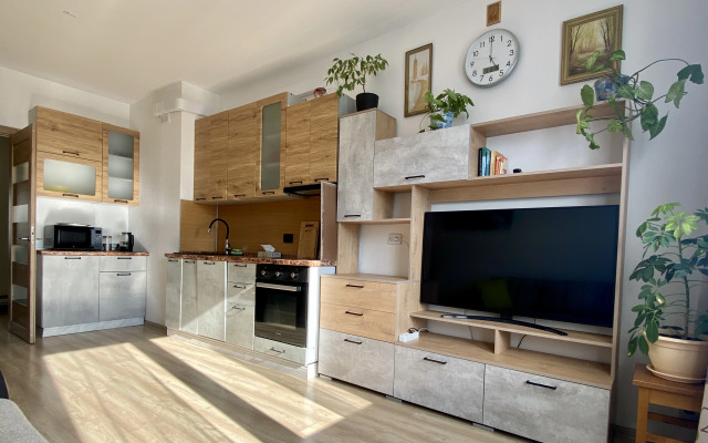 Inroomspb Na Yevgeniya Shvartsa 11 Flat