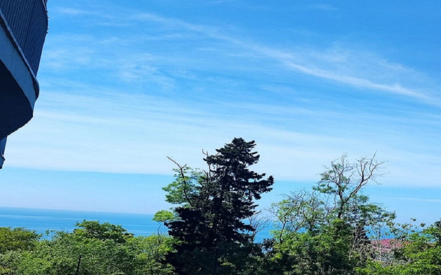 Апартаменты Двухкомнатные апартаменты в ЖК Актер Гэлакси