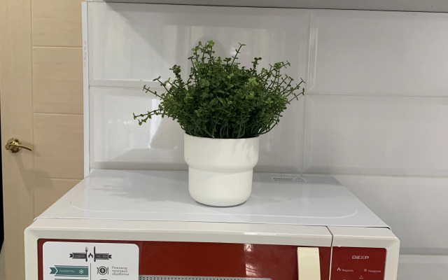 Uyutnaya u Morya Madrid Park Flat