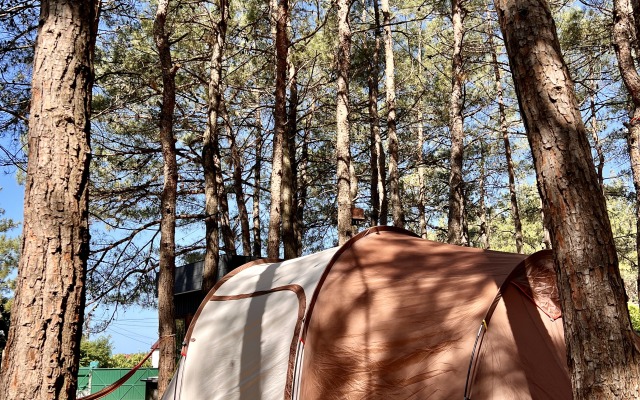 Pod Sosnami Hotel