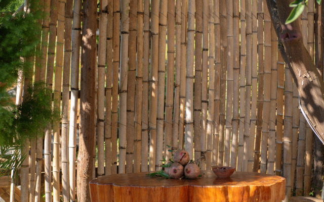 TreeHouse GoldenSeaView TreeHouse Private house