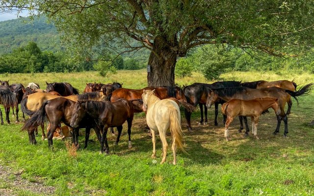 Отель Китайская деревня