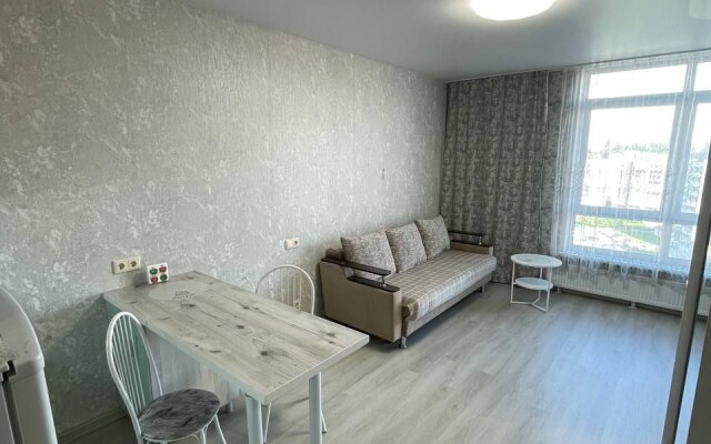 Квартира Студия на Мичурина 58/2