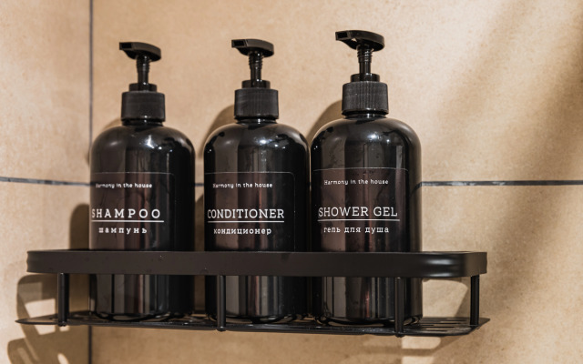 Апартаменты Премиальные в центре Санкт-Петербурга  4