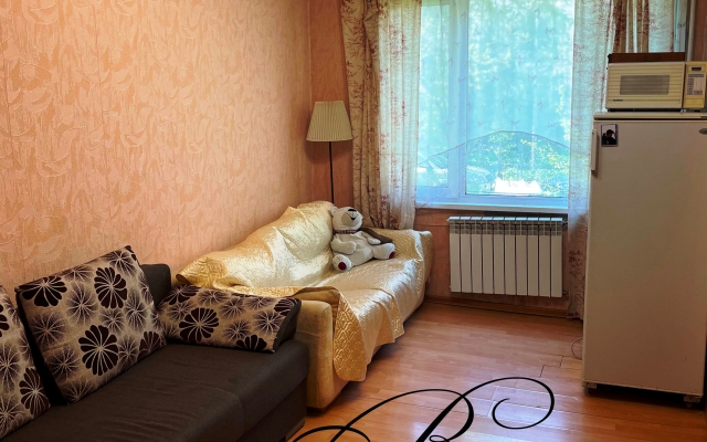 Domashnij Uyut Apartments 1
