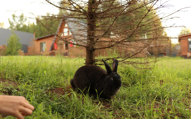 Шале Варилка