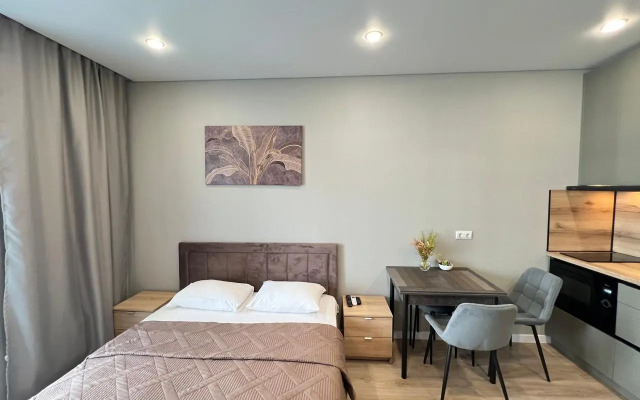 Ctudiya C Balkonom I Vidom Na Gory Flat