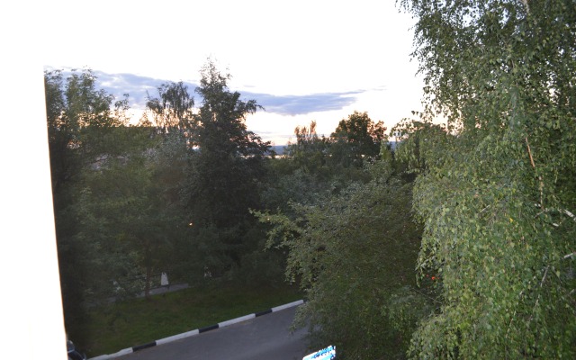 V Istoricheskom Tsentre Goroda Flat